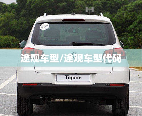 途观车型/途观车型代码