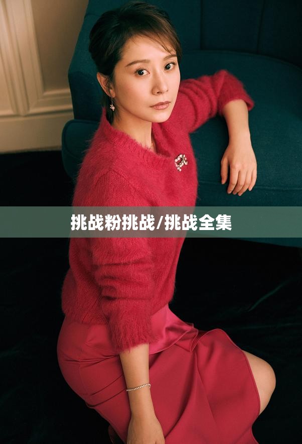 挑战粉挑战/挑战全集