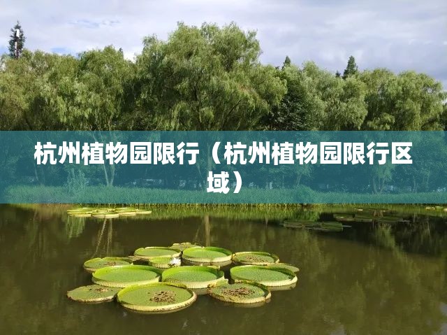 杭州植物园限行（杭州植物园限行区域）