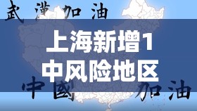 上海新增1中风险地区/最新上海中风险地区有哪些