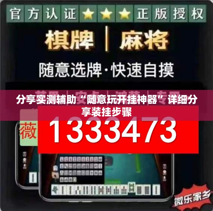分享实测辅助“随意玩开挂神器	”详细分享装挂步骤