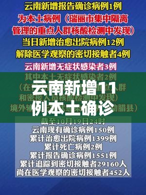 云南新增11例本土确诊病例(云南新增本土12例一) 云南新增11例本土确诊病例(云南新增本土12例一)