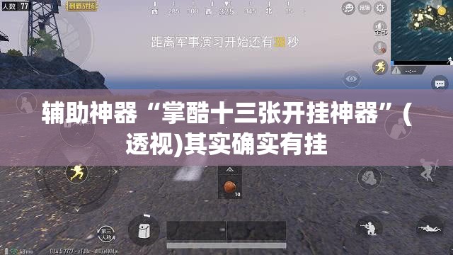 辅助神器“掌酷十三张开挂神器	”(透视)其实确实有挂