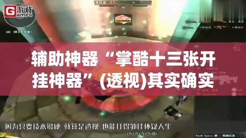 辅助神器“掌酷十三张开挂神器	”(透视)其实确实有挂