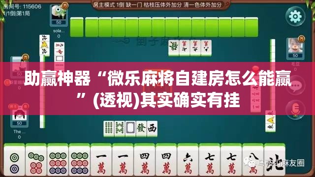 助赢神器“微乐麻将自建房怎么能赢”(透视)其实确实有挂