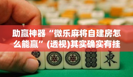 助赢神器“微乐麻将自建房怎么能赢”(透视)其实确实有挂