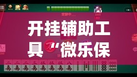 开挂辅助工具“微乐保皇怎么能让牌好一点”(透视)其实确实有挂