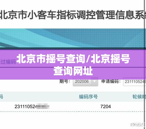 北京市摇号查询/北京摇号查询网址 北京市摇号查询/北京摇号查询网址