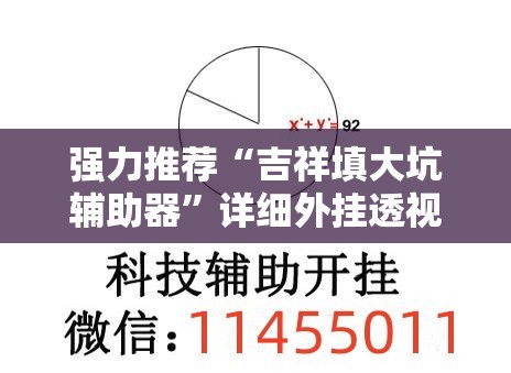 强力推荐“吉祥填大坑辅助器”详细外挂透视辅助软件教程
