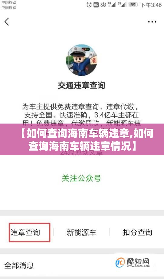 【如何查询海南车辆违章,如何查询海南车辆违章情况】