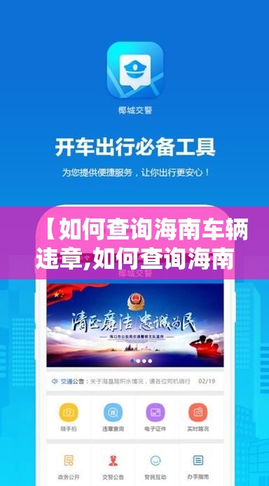 【如何查询海南车辆违章,如何查询海南车辆违章情况】