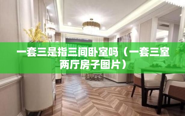 一套三是指三间卧室吗（一套三室两厅房子图片）