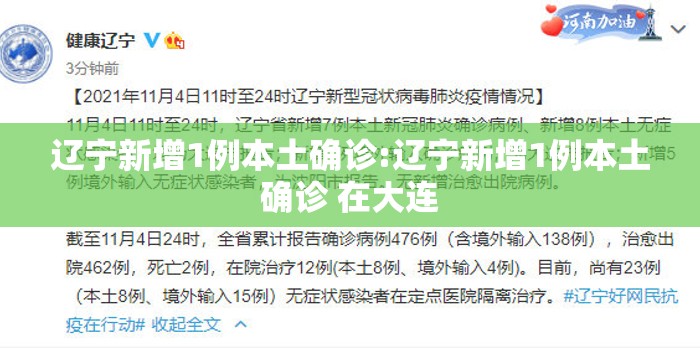 辽宁新增1例本土确诊:辽宁新增1例本土确诊 在大连 辽宁新增1例本土确诊:辽宁新增1例本土确诊 在大连