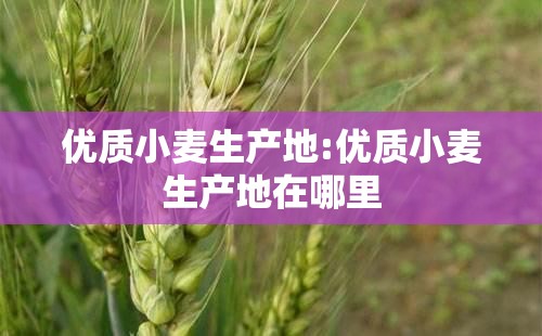 优质小麦生产地:优质小麦生产地在哪里 优质小麦生产地:优质小麦生产地在哪里
