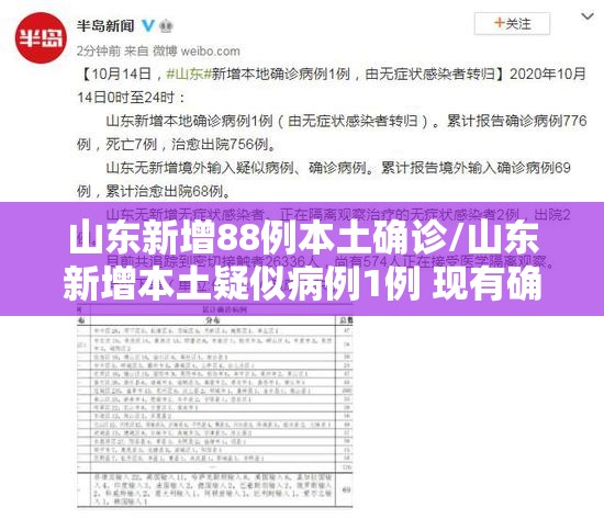 山东新增88例本土确诊/山东新增本土疑似病例1例 现有确诊25例