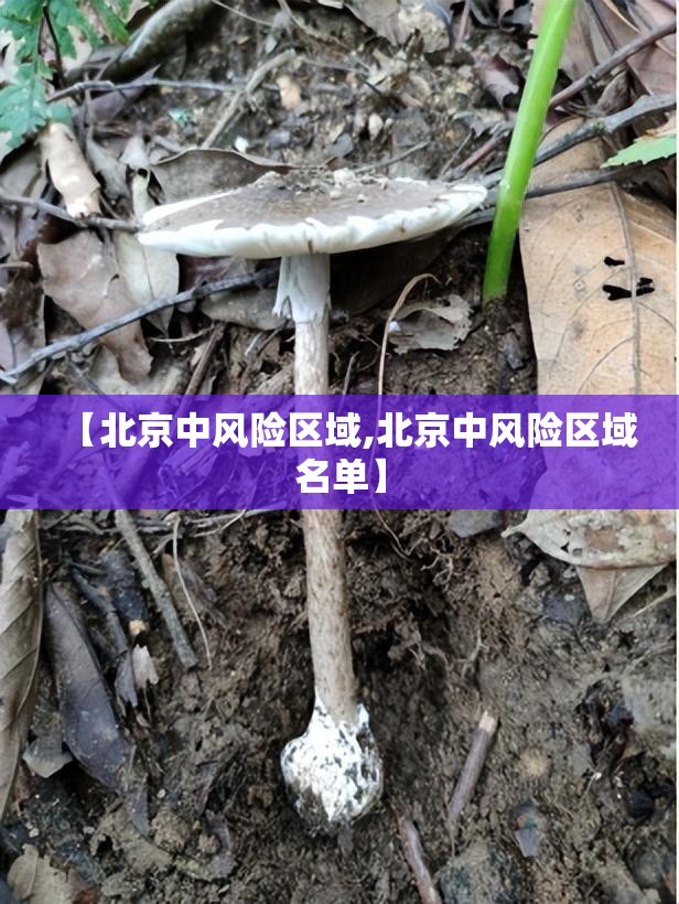 【北京中风险区域,北京中风险区域名单】 【北京中风险区域,北京中风险区域名单】