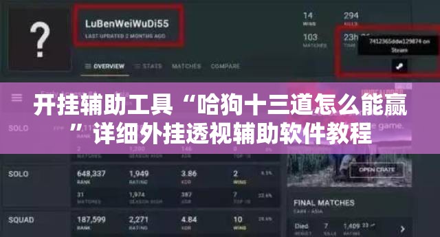开挂辅助工具“哈狗十三道怎么能赢”详细外挂透视辅助软件教程