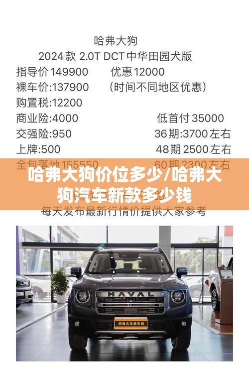哈弗大狗价位多少/哈弗大狗汽车新款多少钱 哈弗大狗价位多少/哈弗大狗汽车新款多少钱