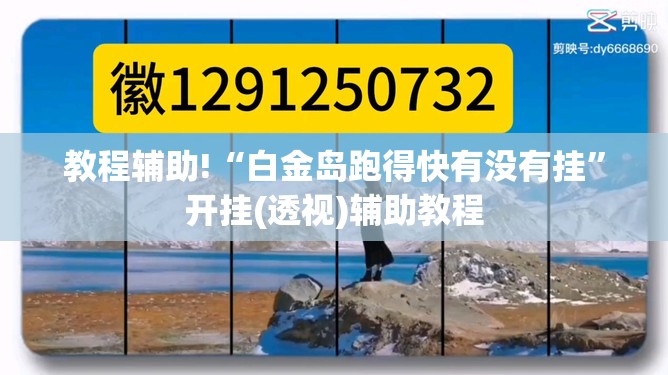 教程辅助!“白金岛跑得快有没有挂”开挂(透视)辅助教程