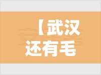 【武汉还有毛坯房交付吗/武汉还有毛坯房交付吗今年】