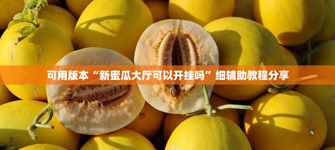 可用版本“新蜜瓜大厅可以开挂吗”细辅助教程分享
