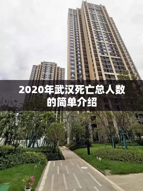 2020年武汉死亡总人数的简单介绍 2020年武汉死亡总人数的简单介绍