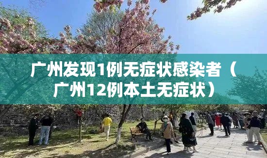 广州发现1例无症状感染者(广州12例本土无症状) 广州发现1例无症状感染者(广州12例本土无症状)