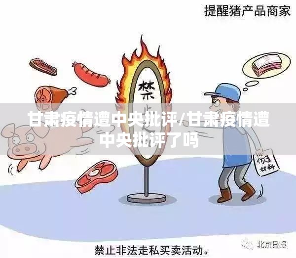 甘肃疫情遭中央批评/甘肃疫情遭中央批评了吗