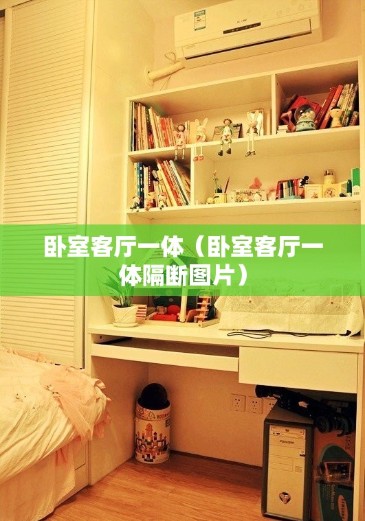 卧室客厅一体（卧室客厅一体隔断图片）
