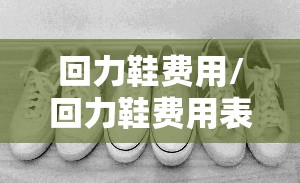 回力鞋费用/回力鞋费用表2023