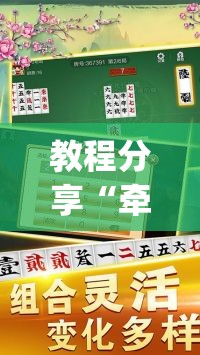 教程分享“牵手跑胡子挂多少钱一个”(透视)其实确实有挂