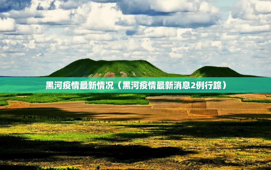 黑河疫情最新情况（黑河疫情最新消息2例行踪）