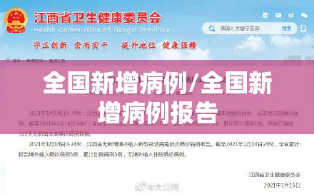 全国新增病例/全国新增病例报告
