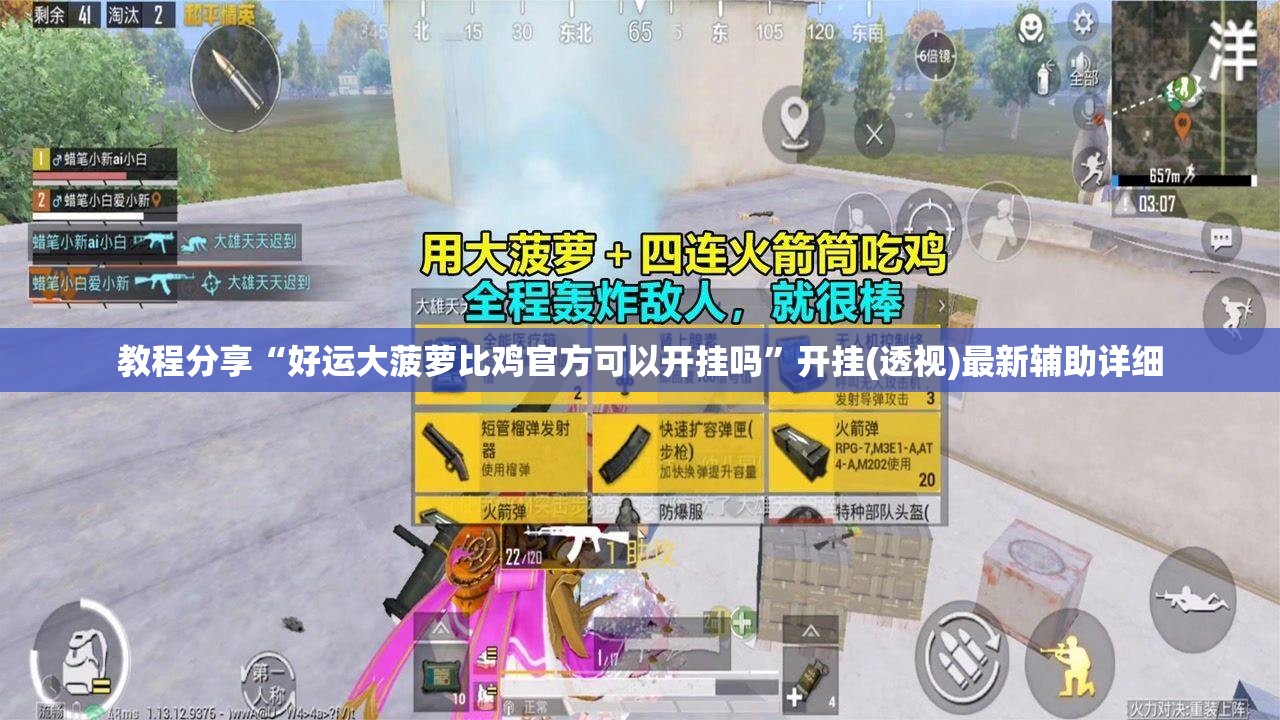 教程分享“好运大菠萝比鸡官方可以开挂吗	”开挂(透视)最新辅助详细
