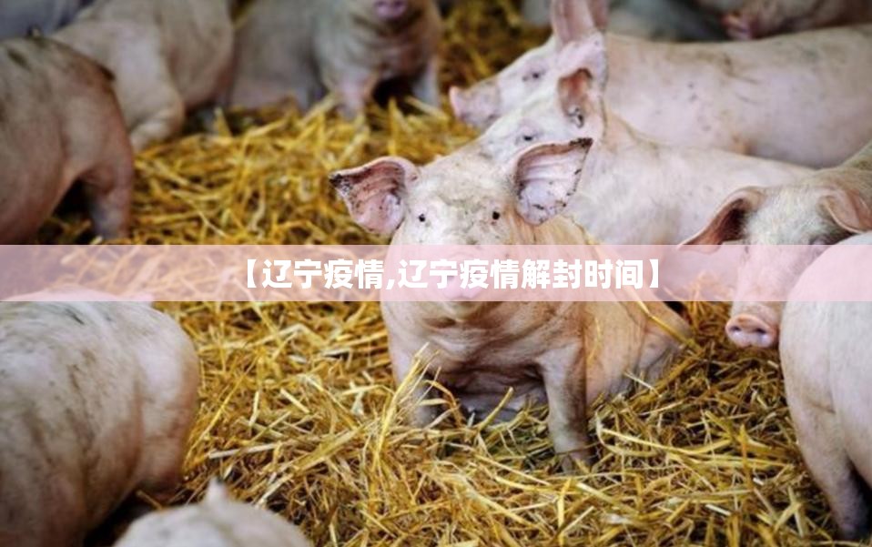 【辽宁疫情,辽宁疫情解封时间】 【辽宁疫情,辽宁疫情解封时间】