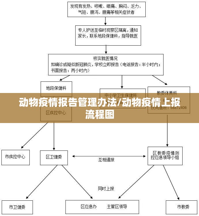 动物疫情报告管理办法/动物疫情上报流程图 动物疫情报告管理办法/动物疫情上报流程图