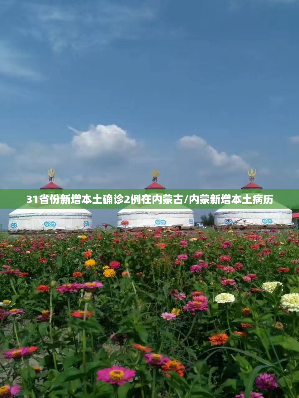 31省份新增本土确诊2例在内蒙古/内蒙新增本土病历 31省份新增本土确诊2例在内蒙古/内蒙新增本土病历