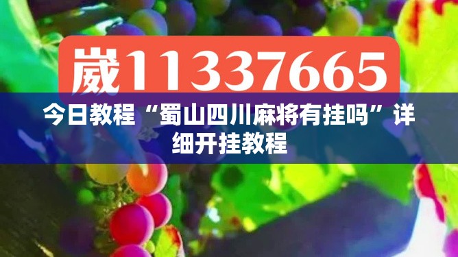 今日教程“蜀山四川麻将有挂吗”详细开挂教程