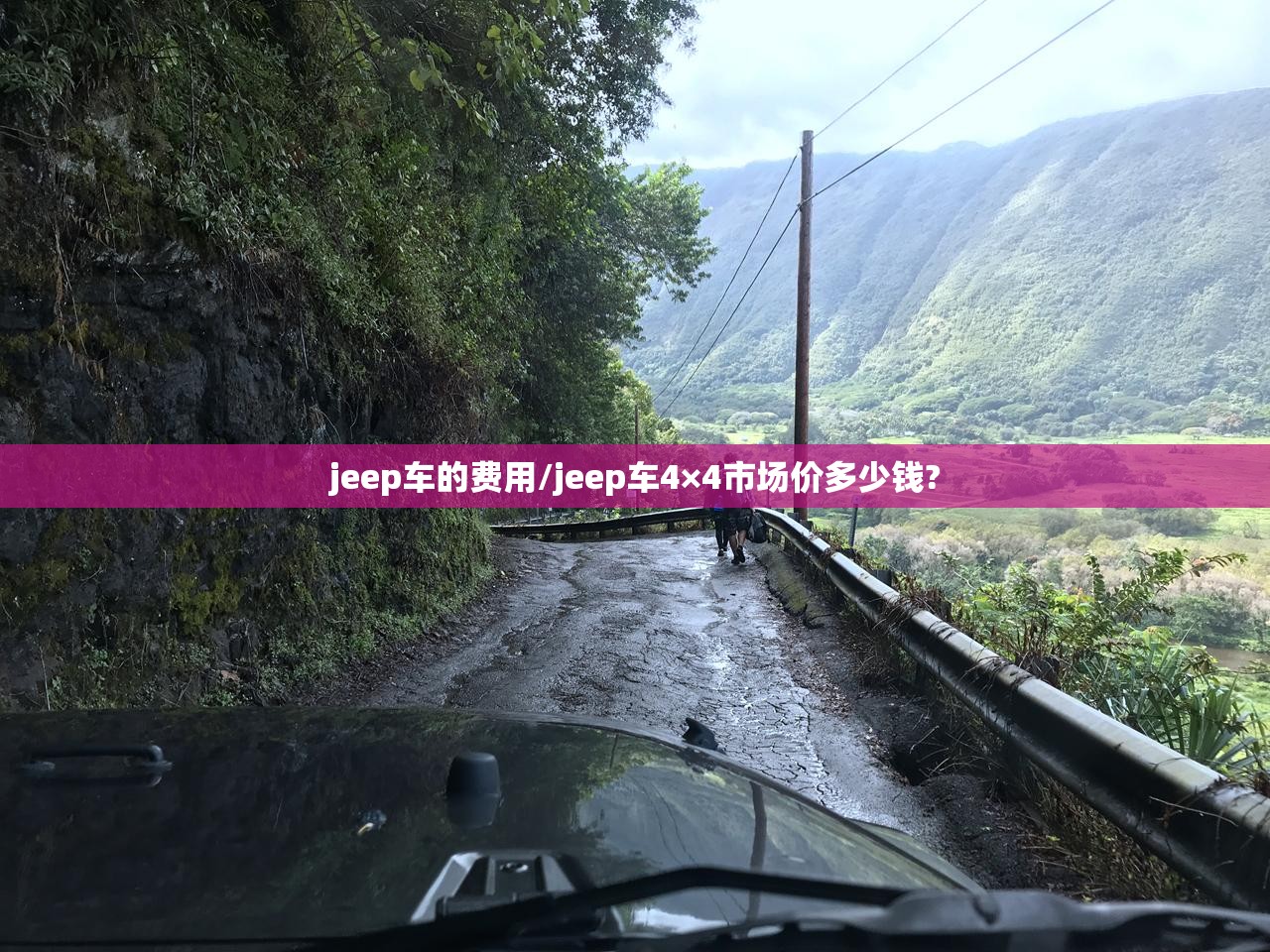 jeep车的费用/jeep车4×4市场价多少钱? jeep车的费用/jeep车4×4市场价多少钱?