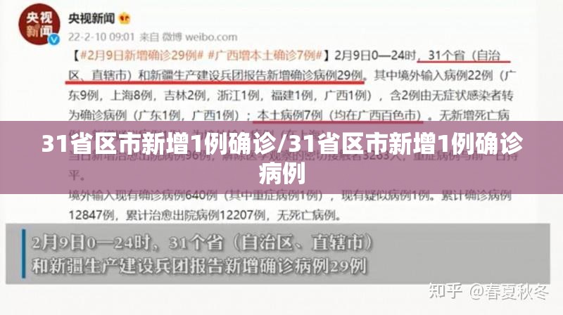 31省区市新增1例确诊/31省区市新增1例确诊病例