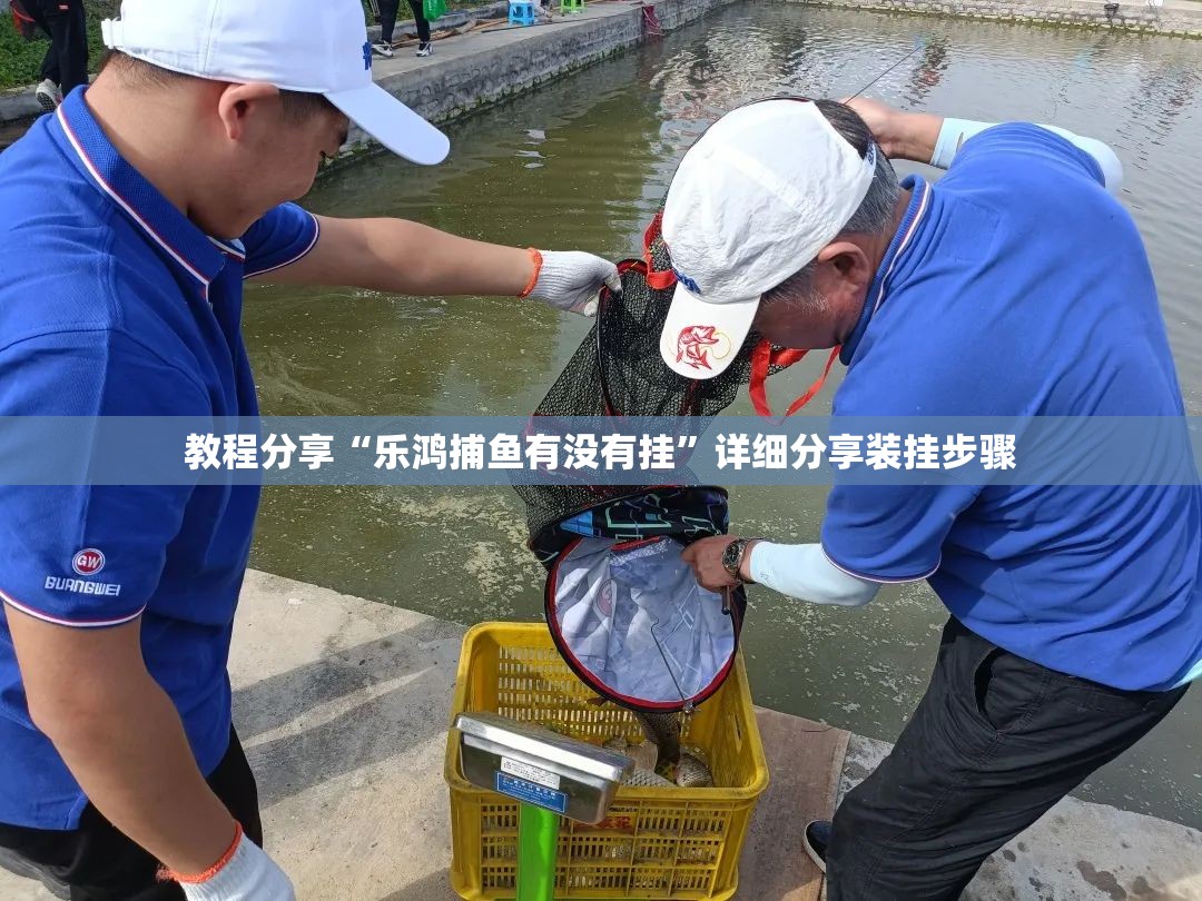 教程分享“乐鸿捕鱼有没有挂”详细分享装挂步骤