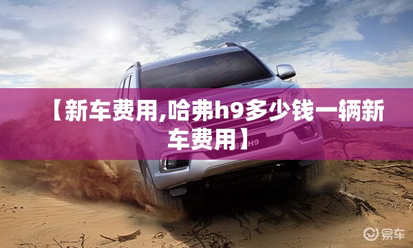 【新车费用,哈弗h9多少钱一辆新车费用】