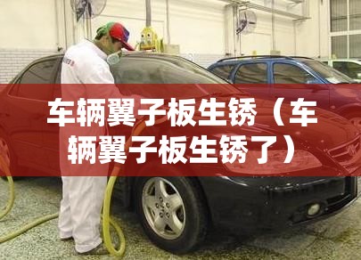 车辆翼子板生锈(车辆翼子板生锈了) 车辆翼子板生锈(车辆翼子板生锈了)