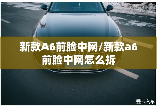 新款A6前脸中网/新款a6前脸中网怎么拆