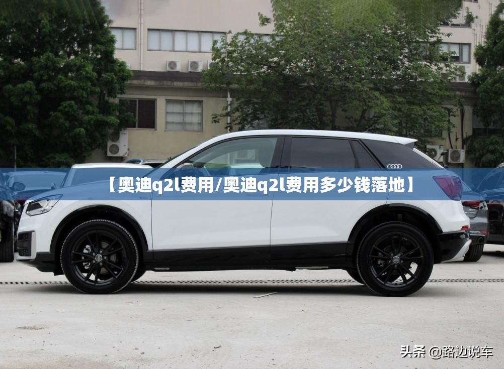 【奥迪q2l费用/奥迪q2l费用多少钱落地】