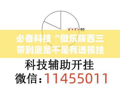 必备科技“微乐陕西三带到底是不是有透视挂”(免费)开挂辅助教学(最新辅助开挂教程)