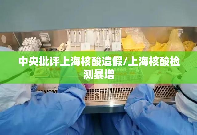 中央批评上海核酸造假/上海核酸检测暴增
