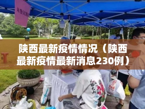 陕西最新疫情情况（陕西最新疫情最新消息230例）