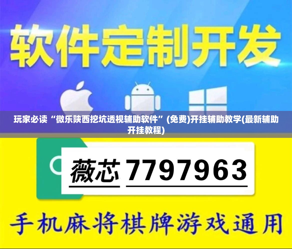玩家必读“微乐陕西挖坑透视辅助软件”(免费)开挂辅助教学(最新辅助开挂教程)