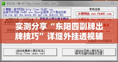 实测分享“东阳四副牌出牌技巧”详细外挂透视辅助软件教程